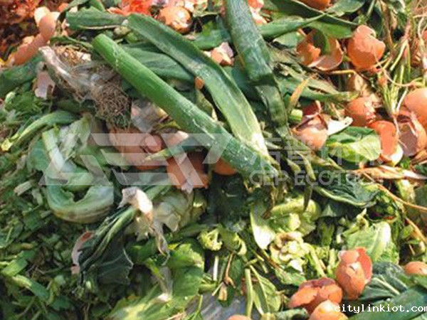 餐厨垃圾和厨余垃圾的区别及处理工艺流程介绍